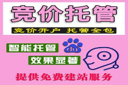 SEM实战案例：案例分析关键词竞争